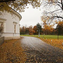 фото "Елагин остров. Золотая осень (3)"