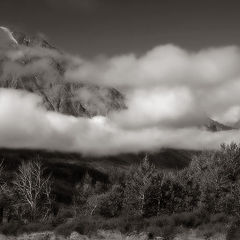 photo "***"
