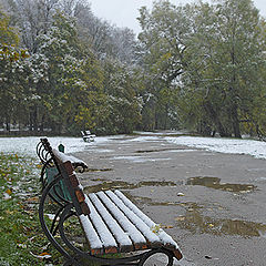 фото "Первый снег."