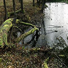 photo "Dragon near lake"