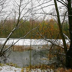 фото "Первый снег"