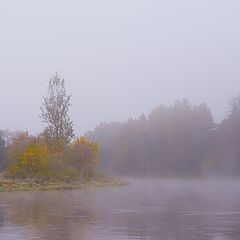 photo "A little bit paints in grey daily round"