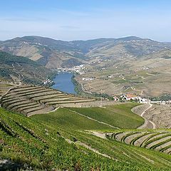 photo "Porto wine region"