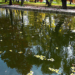 фото "Autumn reflections."