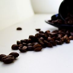 фото "coffe beans"