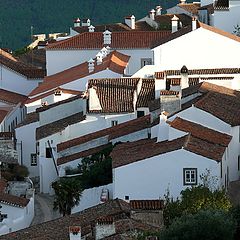 photo "Roofs"