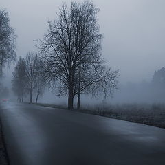 фото "Романтика тумана и дороги"