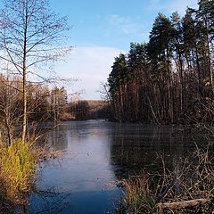 фото "Лесное озеро 2"