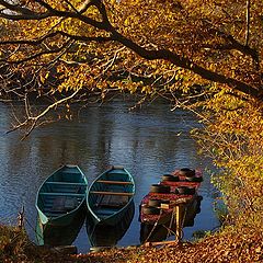 фото "fall along the river #1"