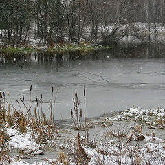 photo "The beginning of winter. Snowing."