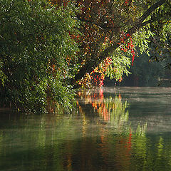 photo "Mysterious River"