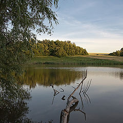 фото "Безмятежность"