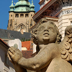 photo "prague angel"