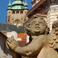 photo "prague angel"