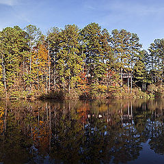 photo "Autumn Color Run"