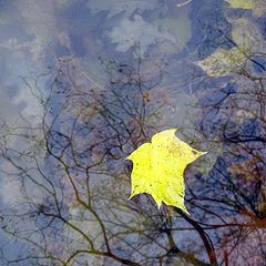 photo "осень,природа,вода,отражение"