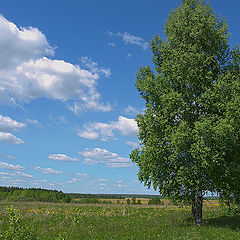 фото "еще весна"