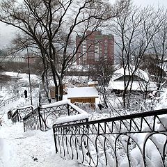 фото "Первый снег"