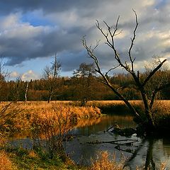 фото "День у осенней реки"