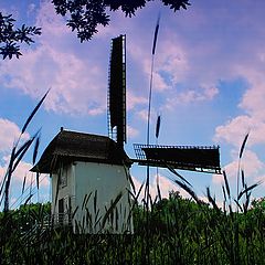 photo "old windmill"