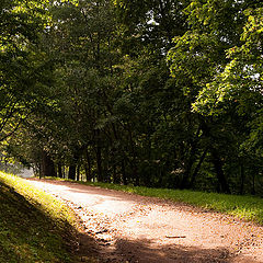 фото "Дорога"