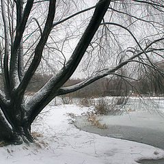 фото "первозимье"