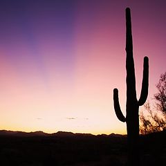 фото "Arizona Sunrise"