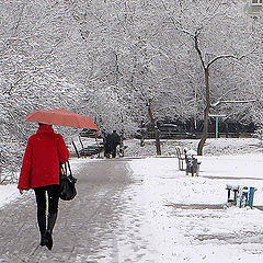 фото "Lady in red"