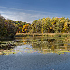 фото "река"