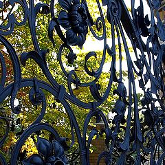 photo "The fence of Summer Garden"