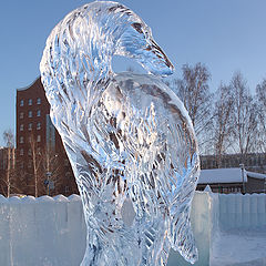 photo "[Ice figures] [XIV]"