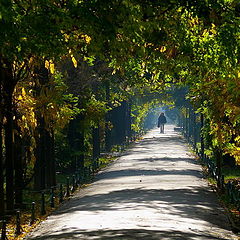 фото "Colored Tunnel"