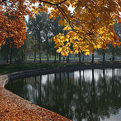 photo "Golden Autumn"