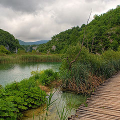 photo "Planked footway of Plitvice-4"