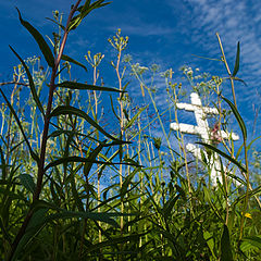 photo "I will return to you as grass"