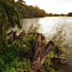 фото "озеро"