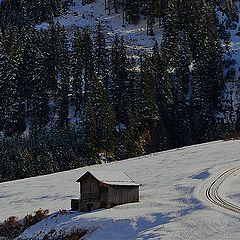 фото "primo inverno"