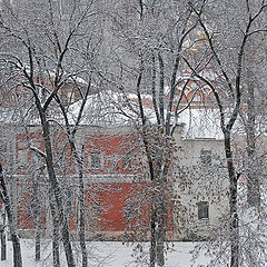 photo "Snowy lace"