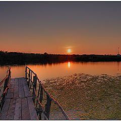 photo "Dog's tongue sunset."