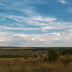 фото "Просторы"