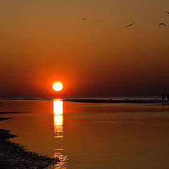 photo "The Sunrises of our Hopeс"