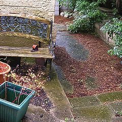 photo "English garden-2.  Depression."