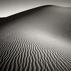 photo "Dune"