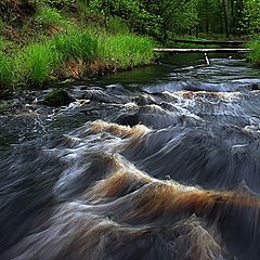 фото "Бурная лесная речка"