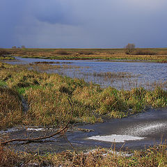 фото "Рязанщина"