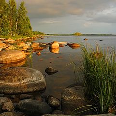 фото "Вечерний свет"