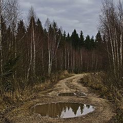 фото "Когда же снег?"