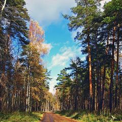 фото "уж небо осенью дышало"