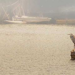 photo "the old man and the sea"