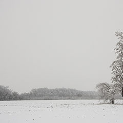 фото "Я, папа и мама"